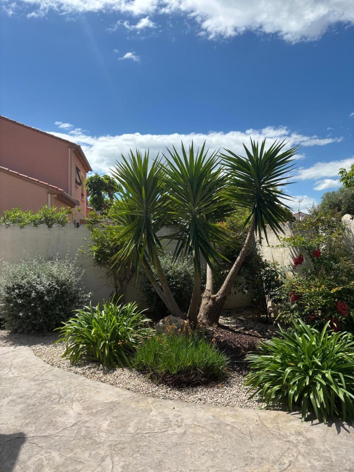 La Maison Brennus , Piscine, 15 Min Des Plages Béziers Eksteriør billede
